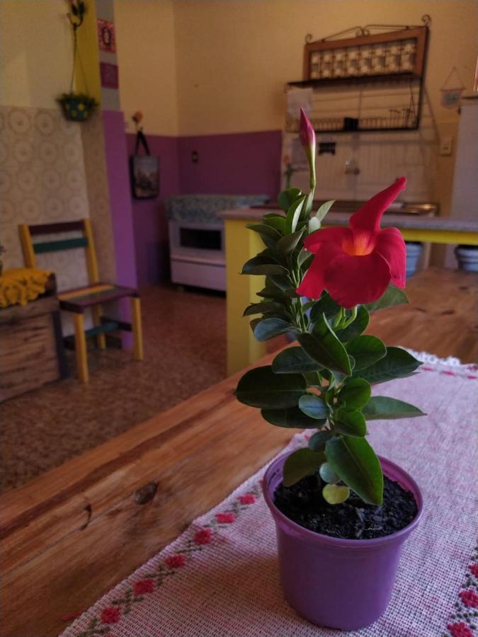 Hostel Tiradentes